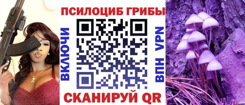 Псилоцибиновые грибы Psilocybine cubensis  Ржев 
